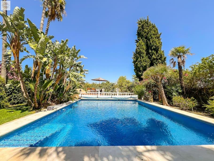 Finca Tierra Sana Εστεπόνα Εξωτερικό φωτογραφία