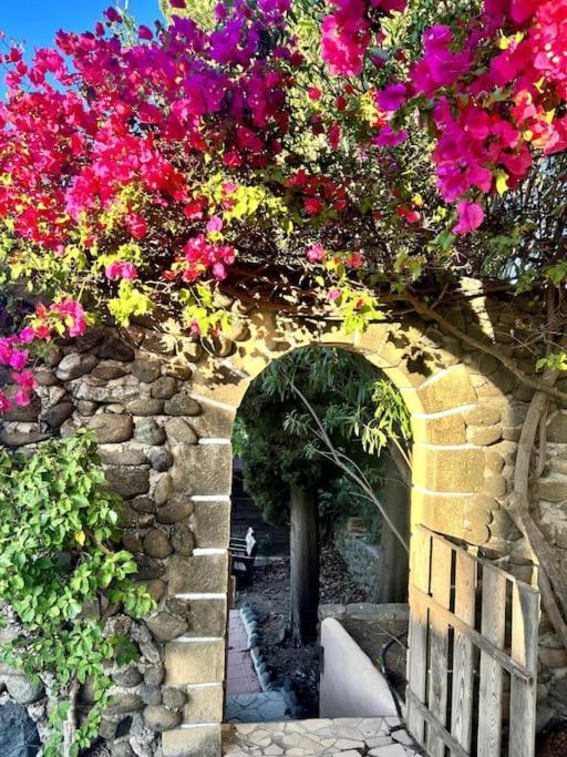 Finca Tierra Sana Εστεπόνα Εξωτερικό φωτογραφία
