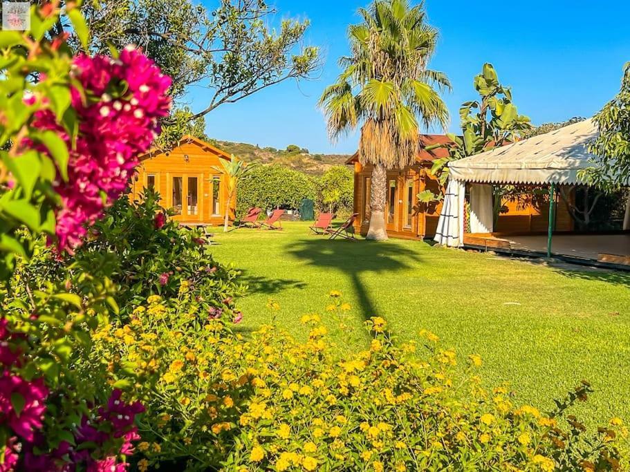 Finca Tierra Sana Εστεπόνα Εξωτερικό φωτογραφία