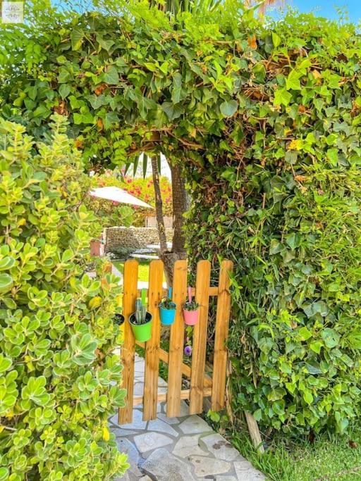 Finca Tierra Sana Εστεπόνα Εξωτερικό φωτογραφία