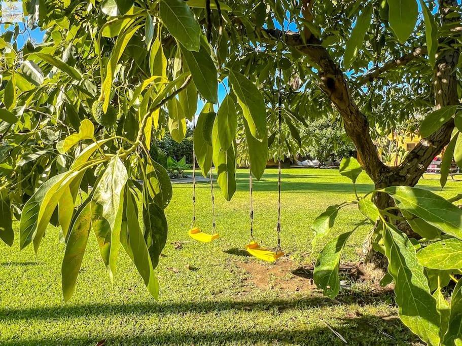 Finca Tierra Sana Εστεπόνα Εξωτερικό φωτογραφία